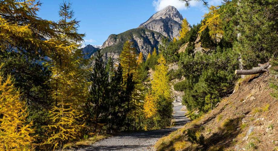 Livigno