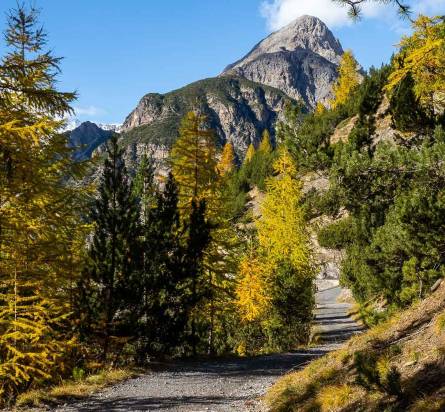 Livigno